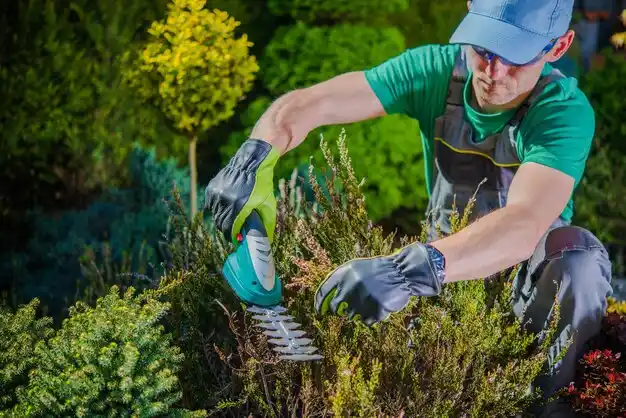 landscaping services Oakwood